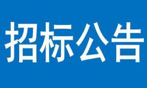 文達(dá)碧城府住宅小區(qū)建設(shè)項(xiàng)目Ⅱ期竣工開荒保潔服務(wù)比選公告
